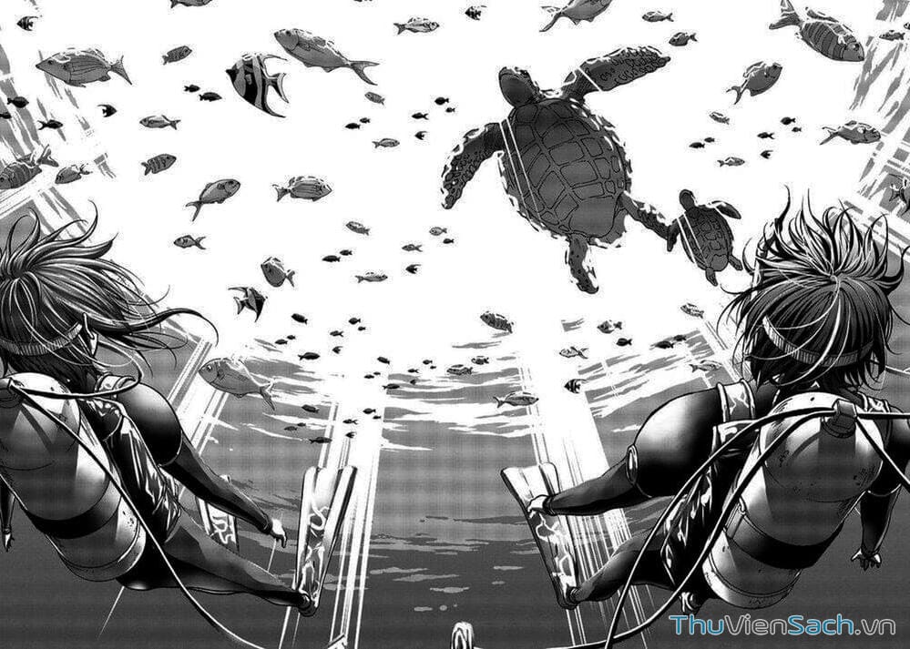 Truyện Tranh Cô Gái Thích Lặn - Grand Blue trang 3