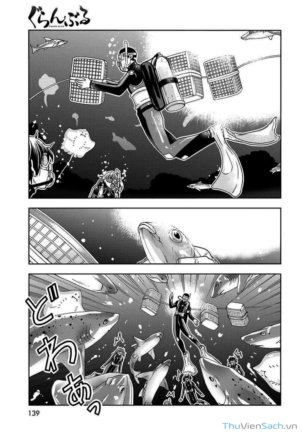 Truyện Tranh Cô Gái Thích Lặn - Grand Blue trang 3