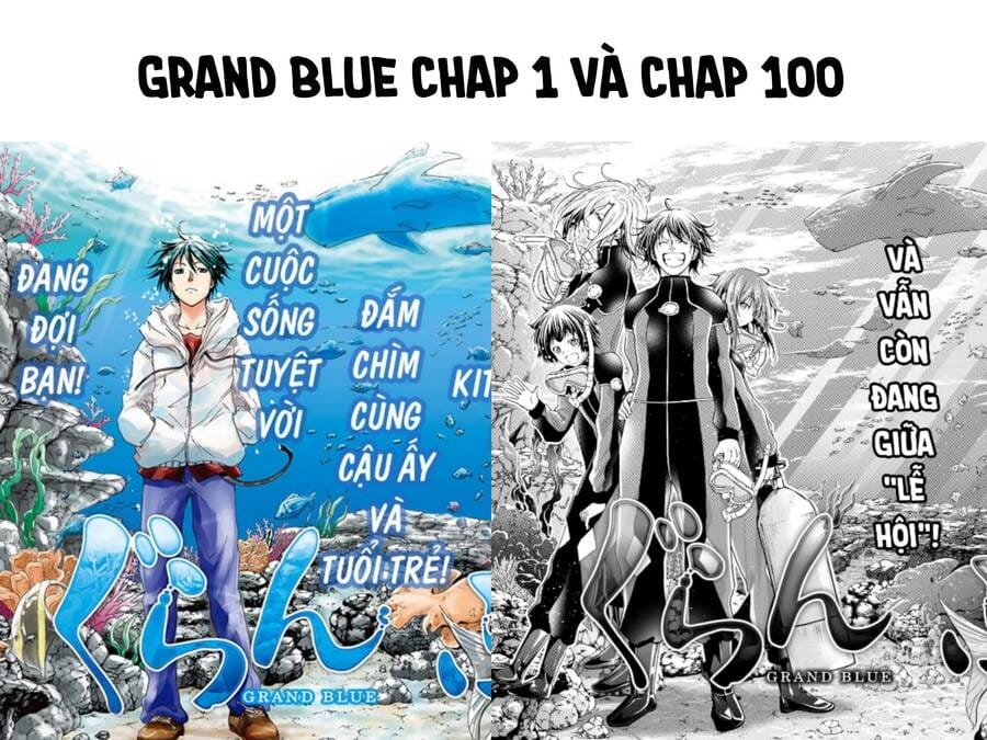 Truyện Tranh Cô Gái Thích Lặn - Grand Blue trang 3