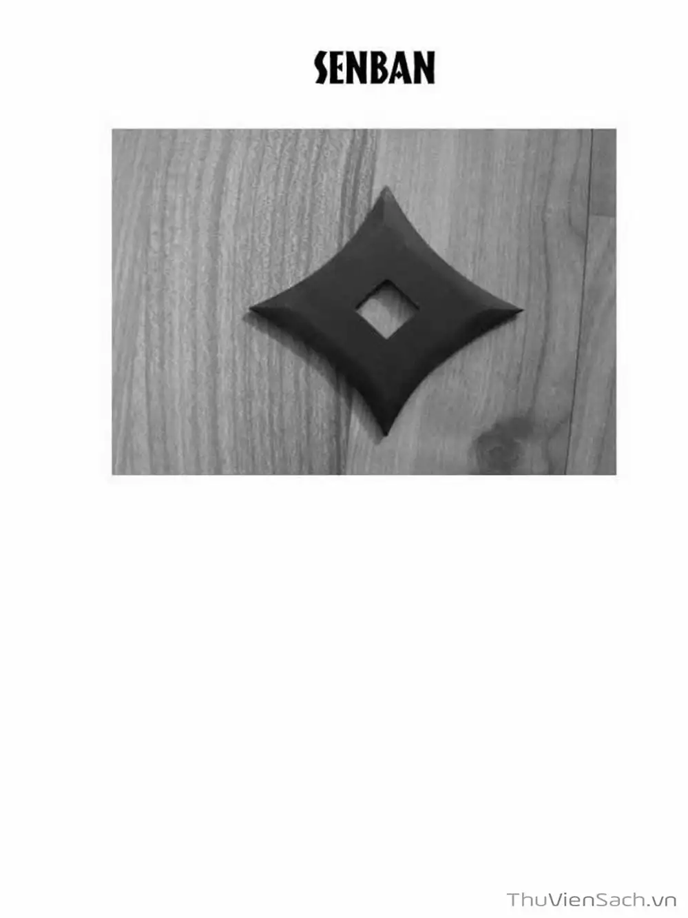 Truyện Tranh Con Đường Của Sát Thủ - Hanzou No Mon trang 6