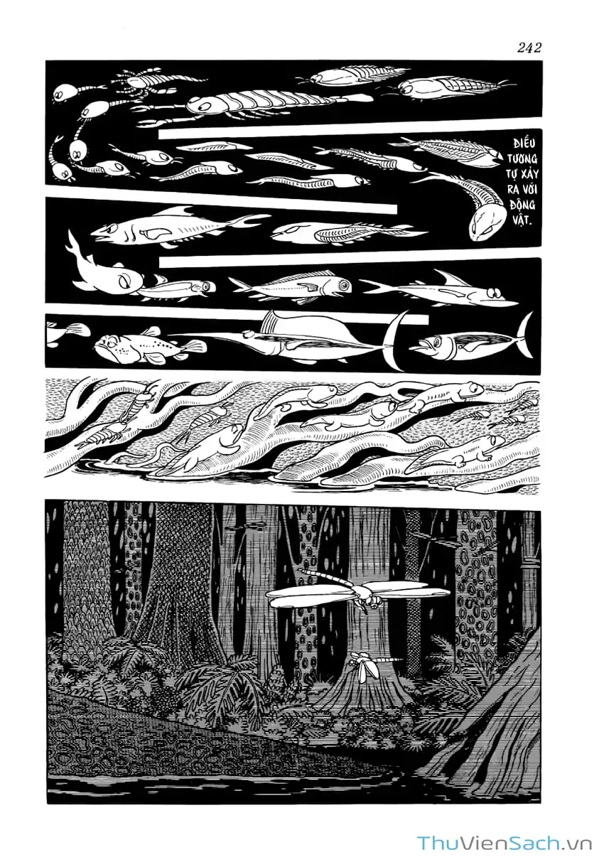 Truyện Tranh Phượng Hoàng - Phoenix trang 7