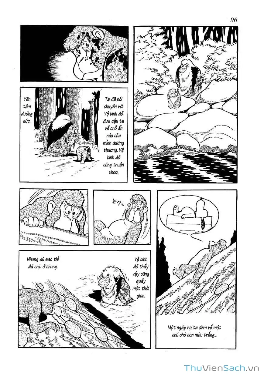 Truyện Tranh Phượng Hoàng - Phoenix trang 7