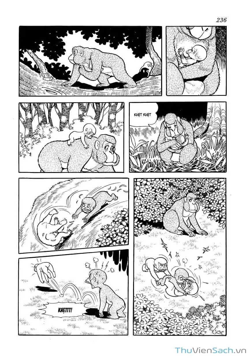 Truyện Tranh Phượng Hoàng - Phoenix trang 7