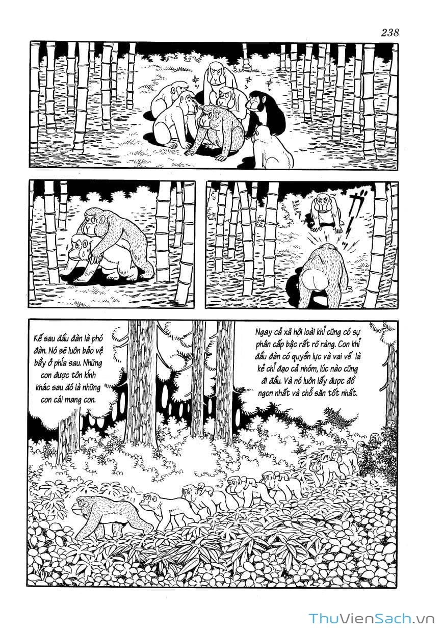 Truyện Tranh Phượng Hoàng - Phoenix trang 7