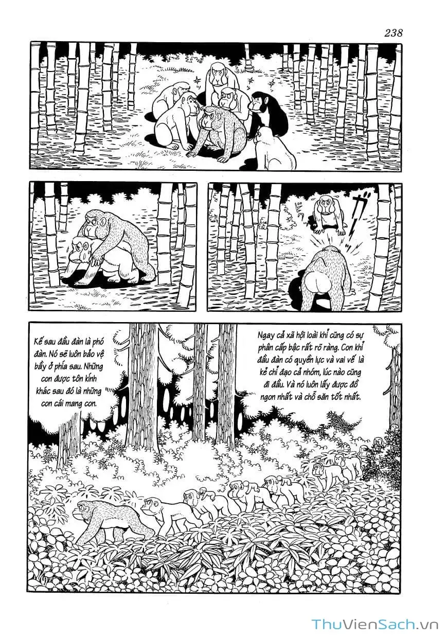 Truyện Tranh Phượng Hoàng - Phoenix trang 7