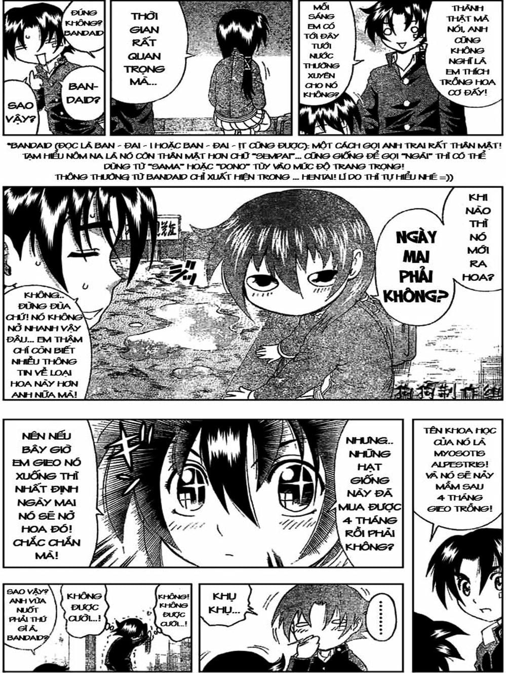 Truyện Tranh Kenichi Võ Sĩ Mạnh Nhất - History’s Strongest Disciple Kenichi trang 5