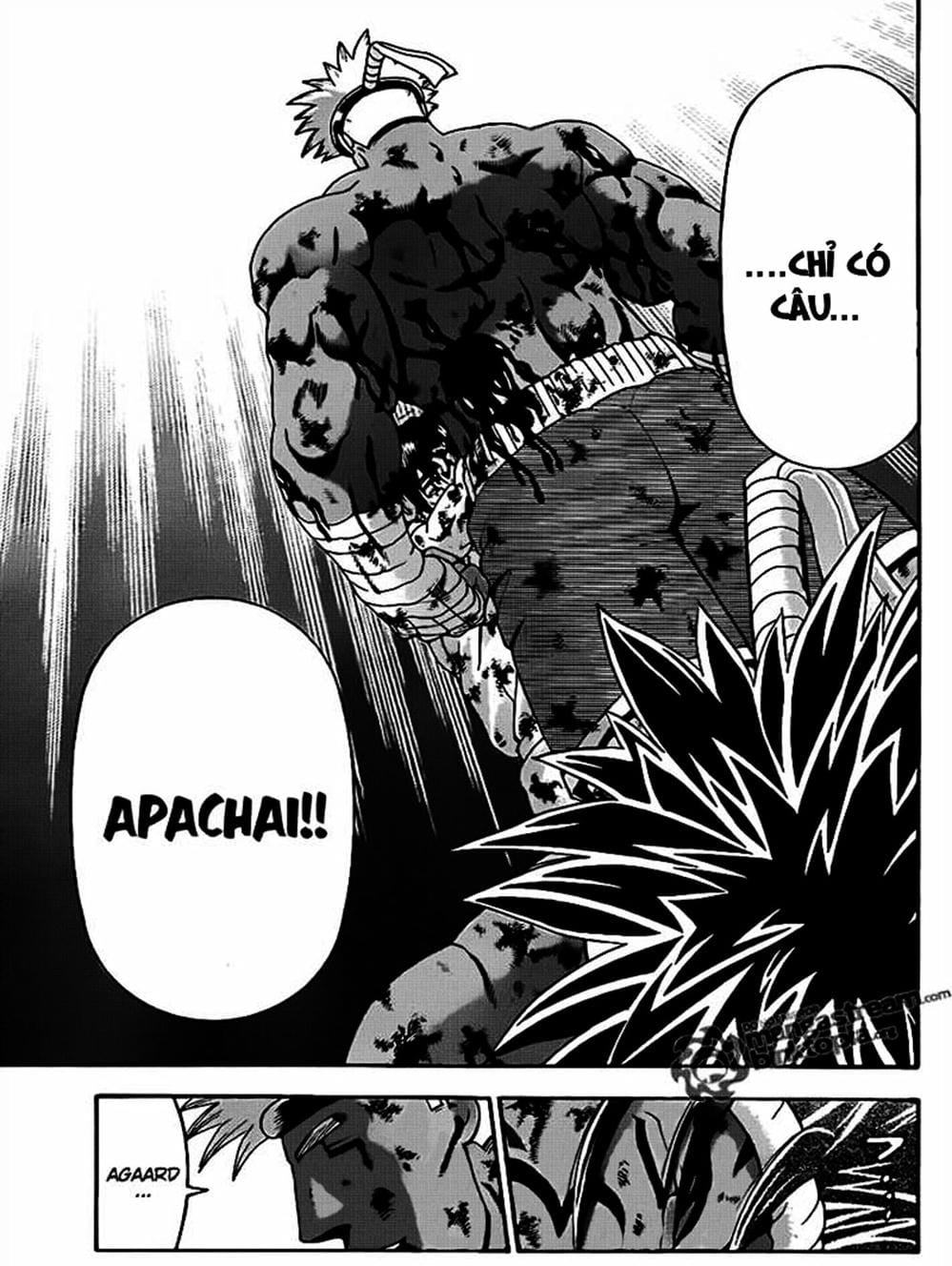 Truyện Tranh Kenichi Võ Sĩ Mạnh Nhất - History’s Strongest Disciple Kenichi trang 5