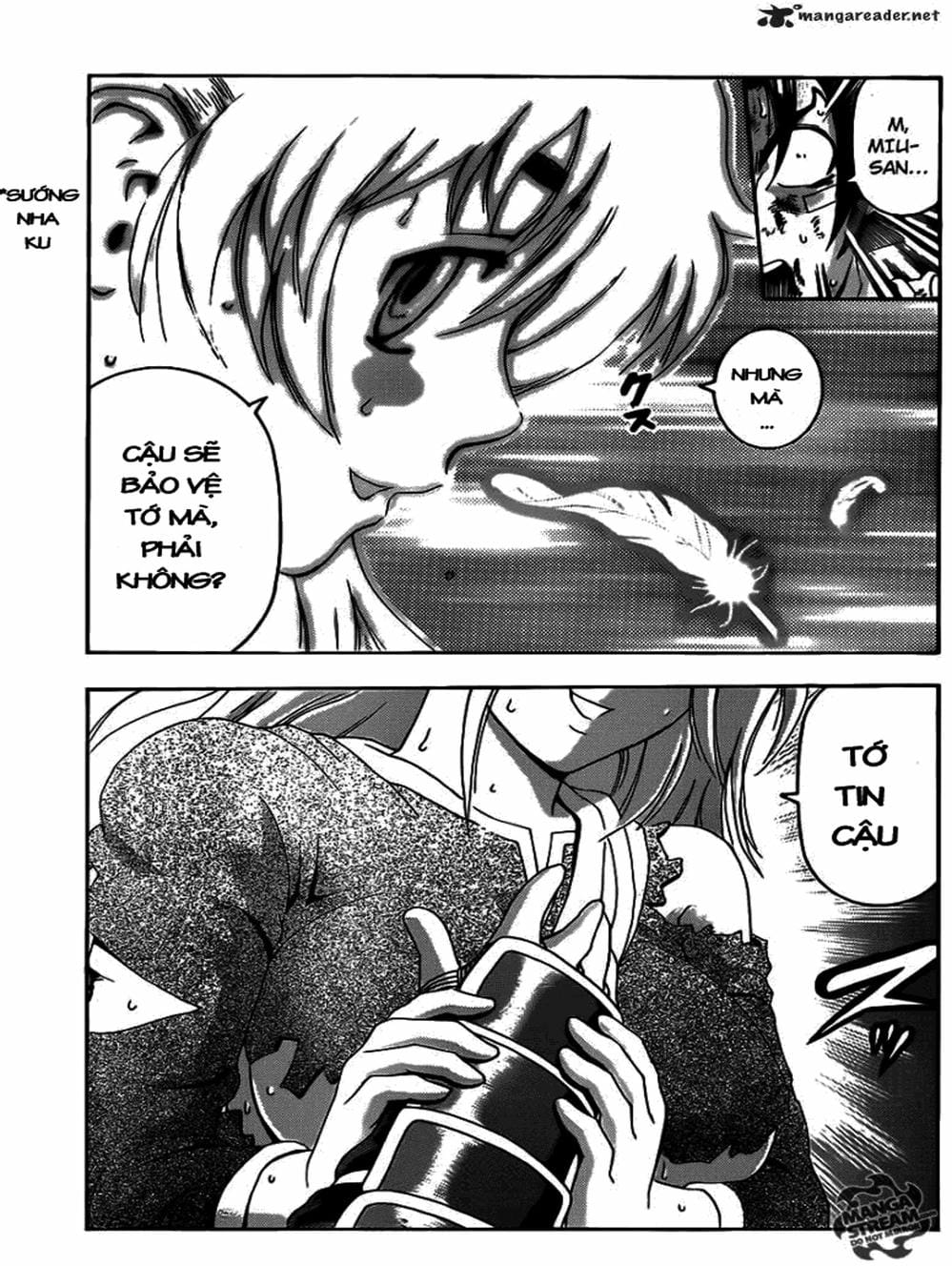 Truyện Tranh Kenichi Võ Sĩ Mạnh Nhất - History’s Strongest Disciple Kenichi trang 5