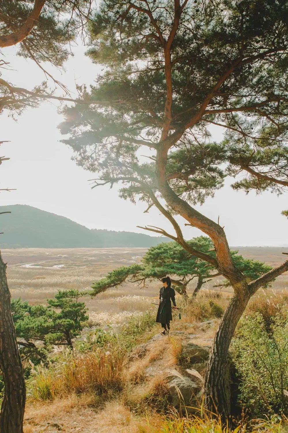 Truyện Tranh Hoa Sơn Tái Khởi trang 6