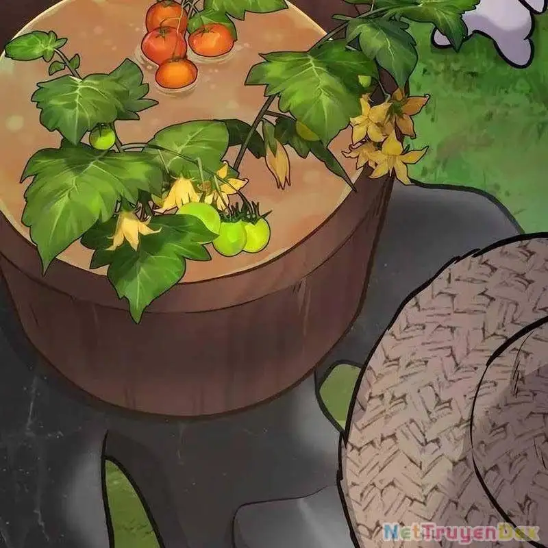 Truyện Tranh Làm Nông Dân Trong Tòa Tháp Thử Thách trang 5