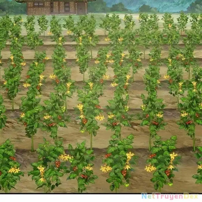 Truyện Tranh Làm Nông Dân Trong Tòa Tháp Thử Thách trang 5