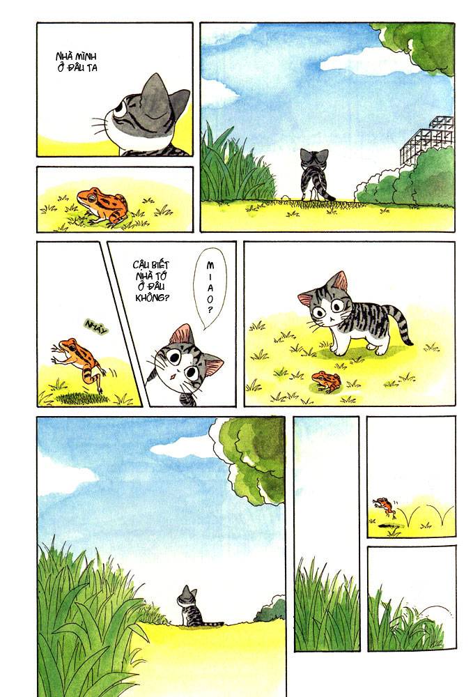 Truyện Tranh Mái Ấm Của Chi - Chii’s Sweet Home trang 3