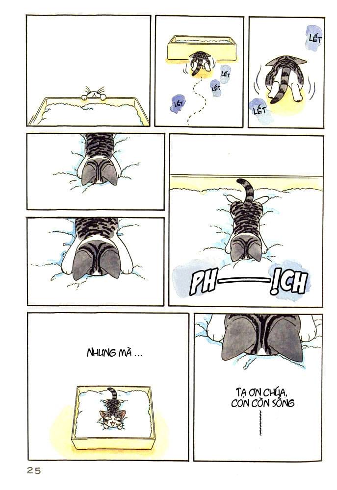 Truyện Tranh Mái Ấm Của Chi - Chii’s Sweet Home trang 3