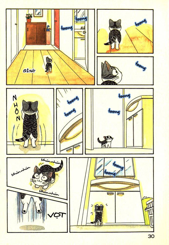 Truyện Tranh Mái Ấm Của Chi - Chii’s Sweet Home trang 3