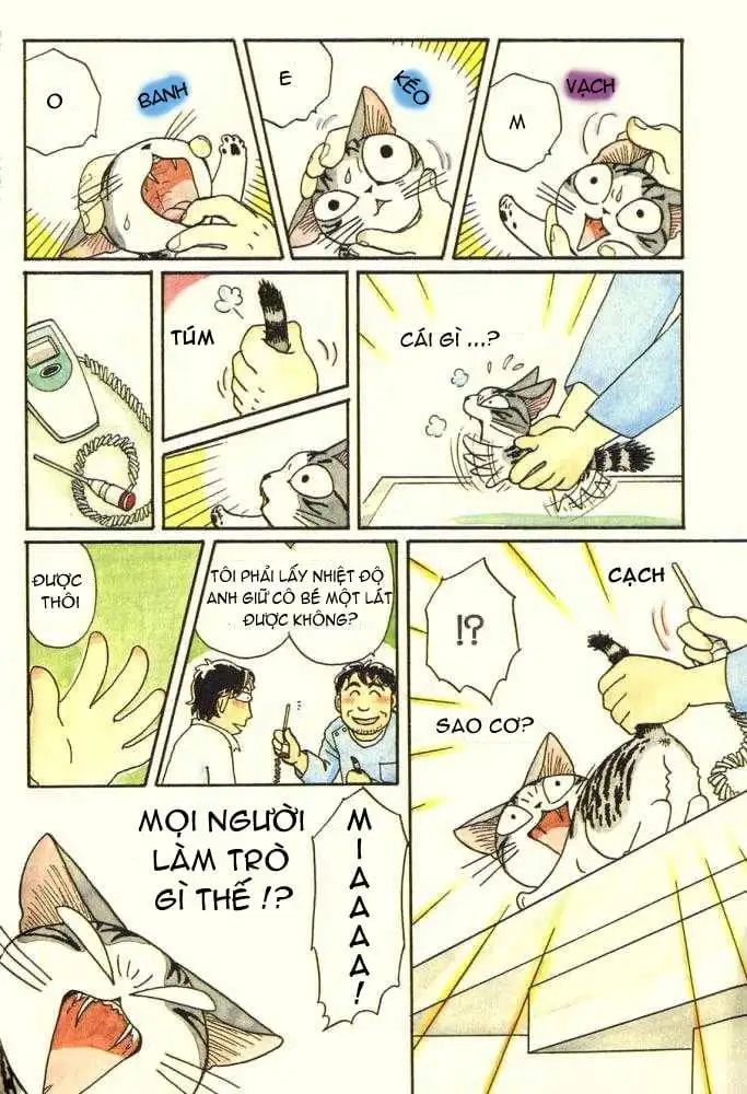Truyện Tranh Mái Ấm Của Chi - Chii’s Sweet Home trang 3
