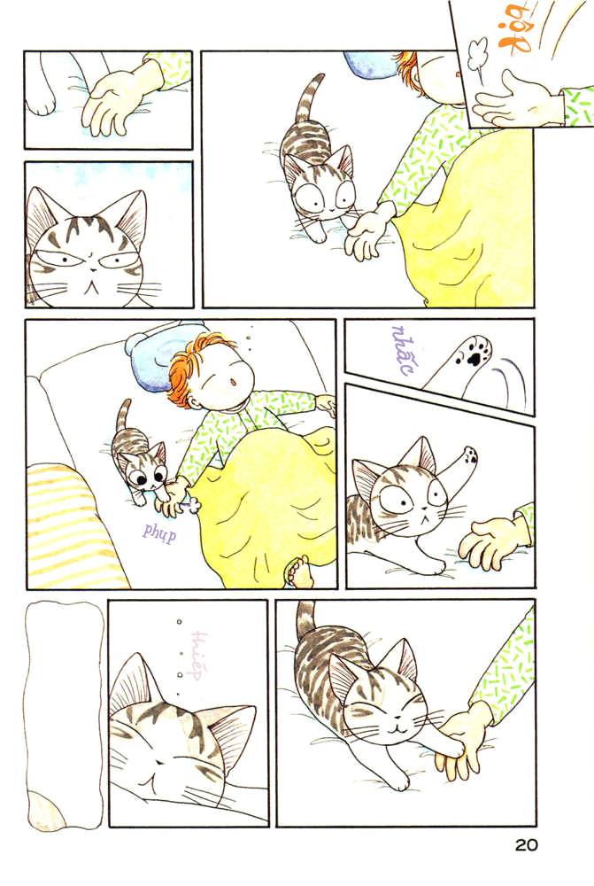 Truyện Tranh Mái Ấm Của Chi - Chii’s Sweet Home trang 3