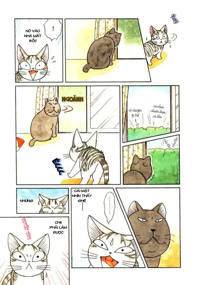 Truyện Tranh Mái Ấm Của Chi - Chii’s Sweet Home trang 3