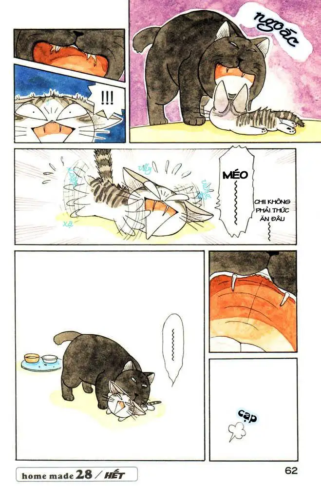 Truyện Tranh Mái Ấm Của Chi - Chii’s Sweet Home trang 3