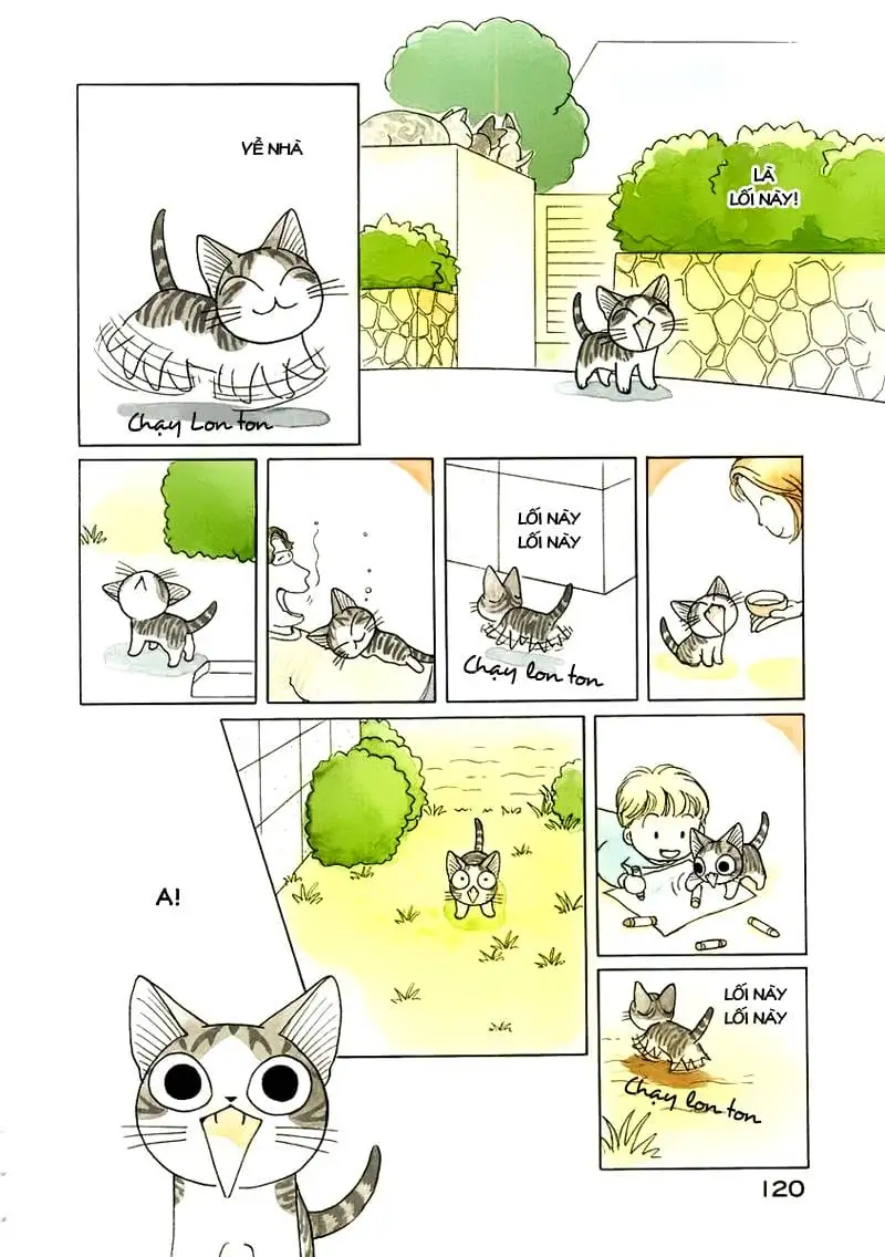 Truyện Tranh Mái Ấm Của Chi - Chii’s Sweet Home trang 3