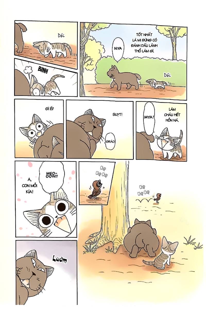 Truyện Tranh Mái Ấm Của Chi - Chii’s Sweet Home trang 3