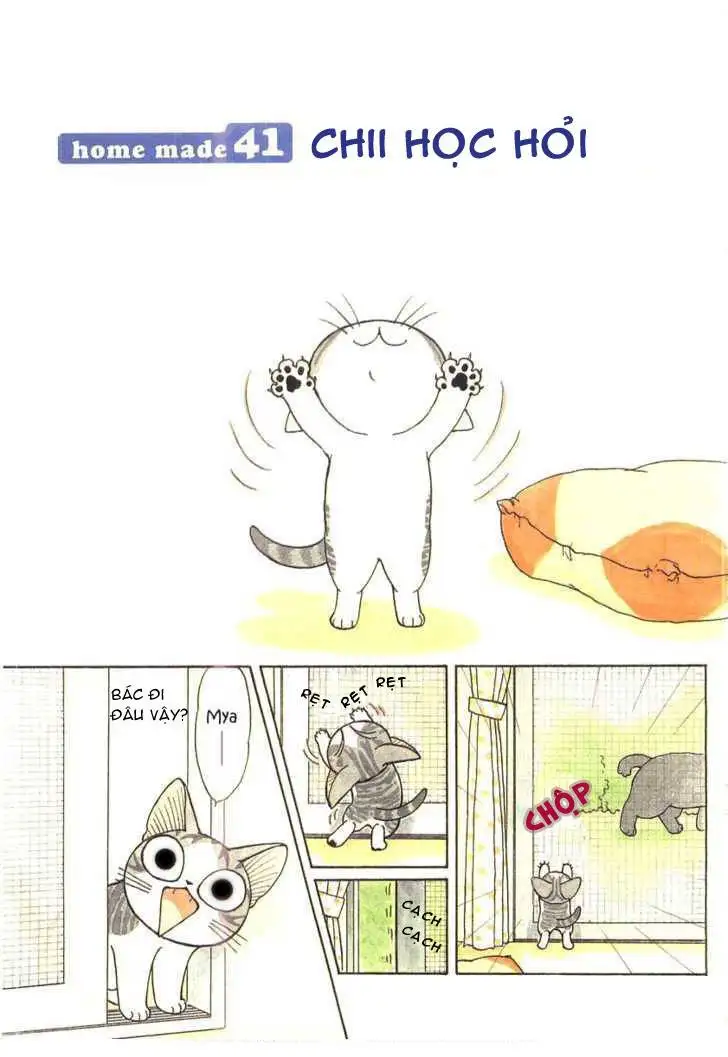 Truyện Tranh Mái Ấm Của Chi - Chii’s Sweet Home trang 3