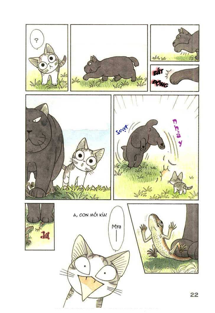 Truyện Tranh Mái Ấm Của Chi - Chii’s Sweet Home trang 3