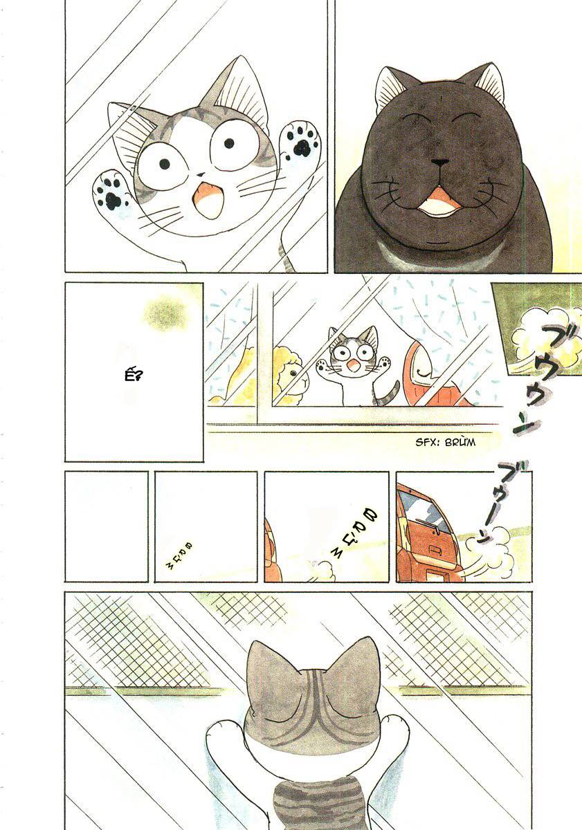 Truyện Tranh Mái Ấm Của Chi - Chii’s Sweet Home trang 3