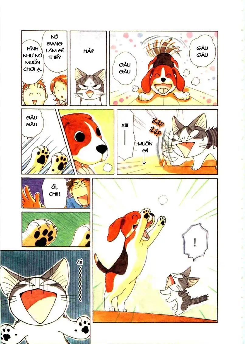 Truyện Tranh Mái Ấm Của Chi - Chii’s Sweet Home trang 3