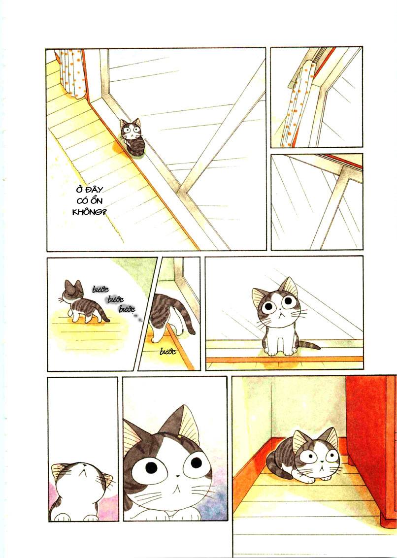 Truyện Tranh Mái Ấm Của Chi - Chii’s Sweet Home trang 3