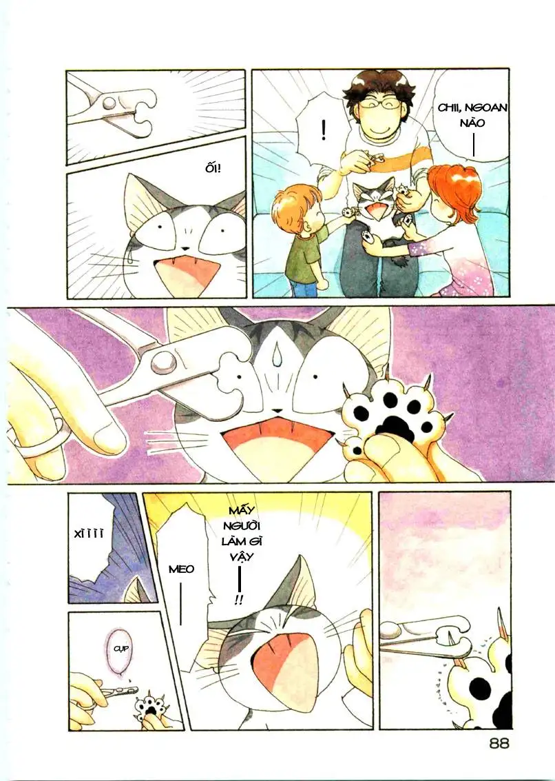Truyện Tranh Mái Ấm Của Chi - Chii’s Sweet Home trang 3