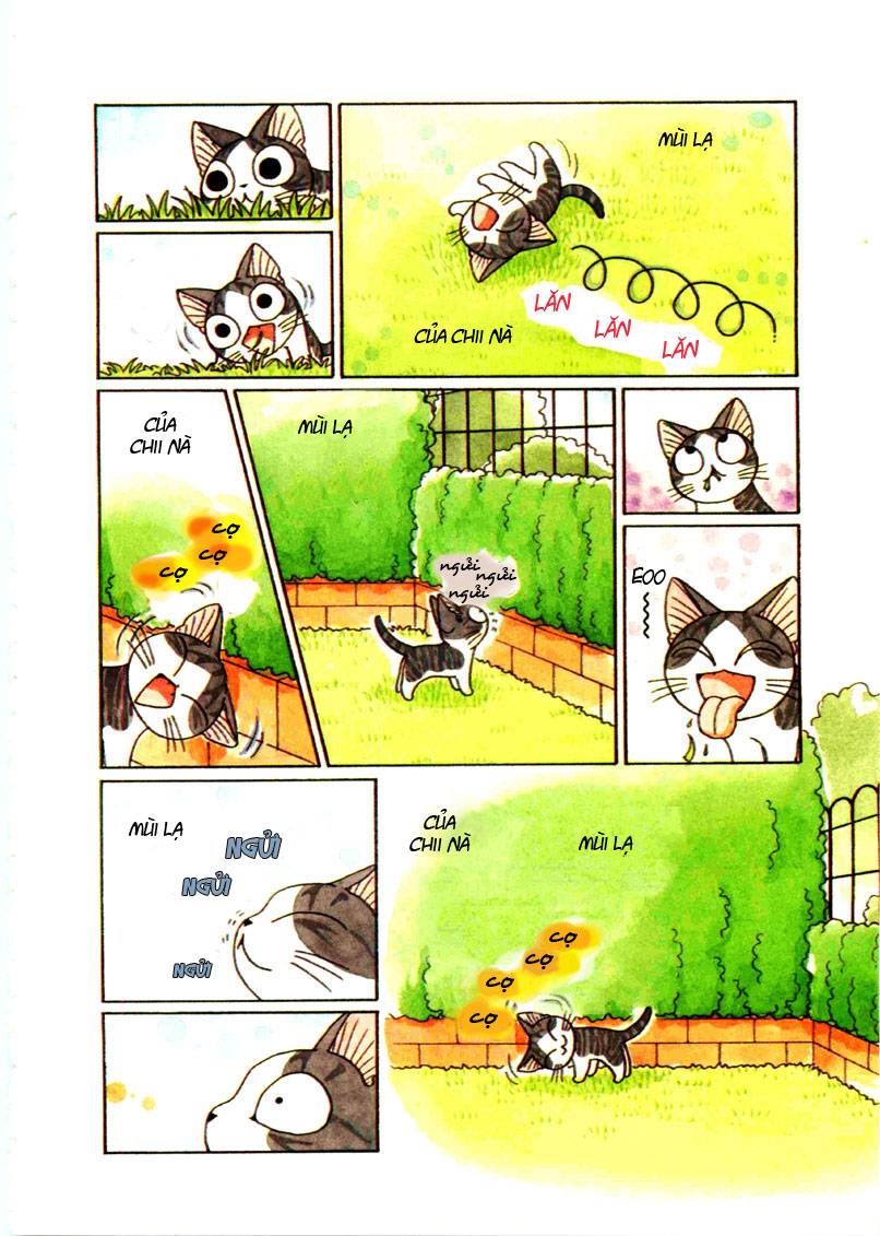 Truyện Tranh Mái Ấm Của Chi - Chii’s Sweet Home trang 3
