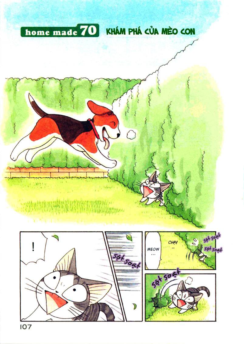 Truyện Tranh Mái Ấm Của Chi - Chii’s Sweet Home trang 3