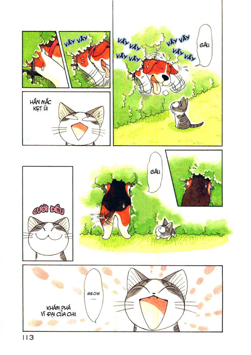 Truyện Tranh Mái Ấm Của Chi - Chii’s Sweet Home trang 3