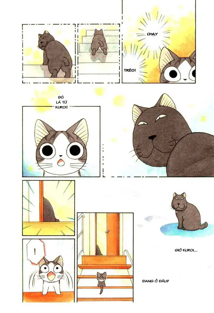 Truyện Tranh Mái Ấm Của Chi - Chii’s Sweet Home trang 3