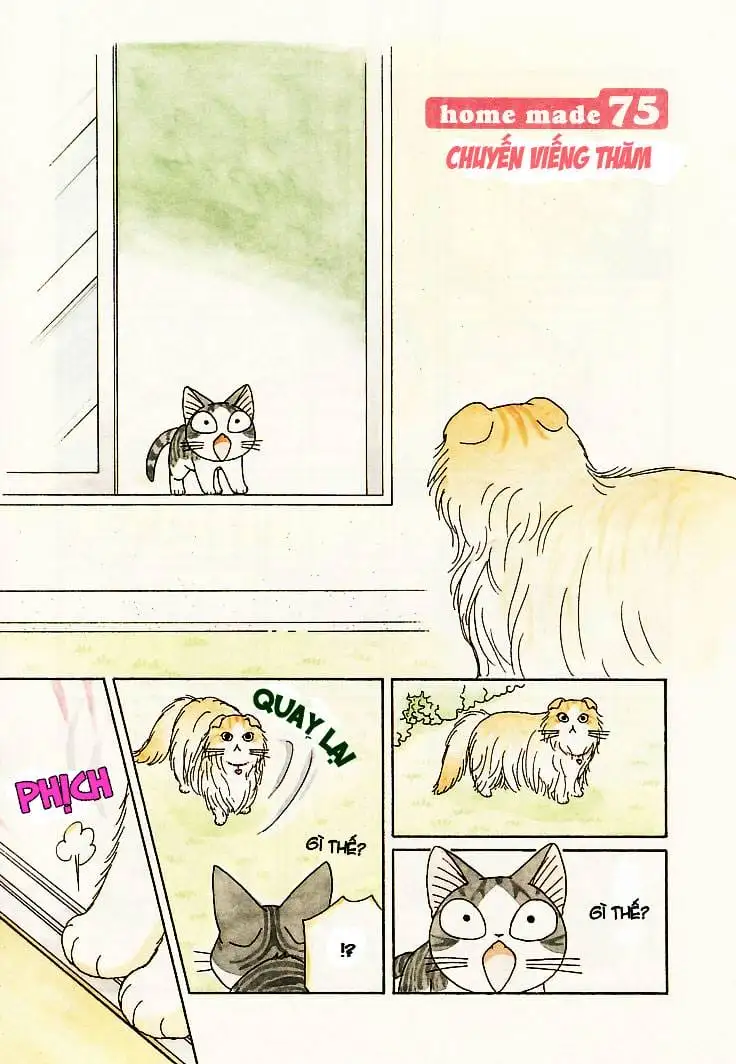 Truyện Tranh Mái Ấm Của Chi - Chii’s Sweet Home trang 3