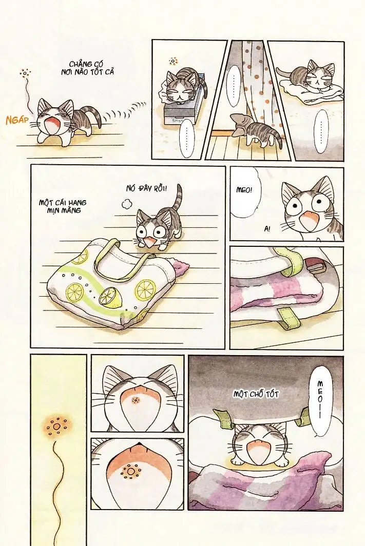 Truyện Tranh Mái Ấm Của Chi - Chii’s Sweet Home trang 3