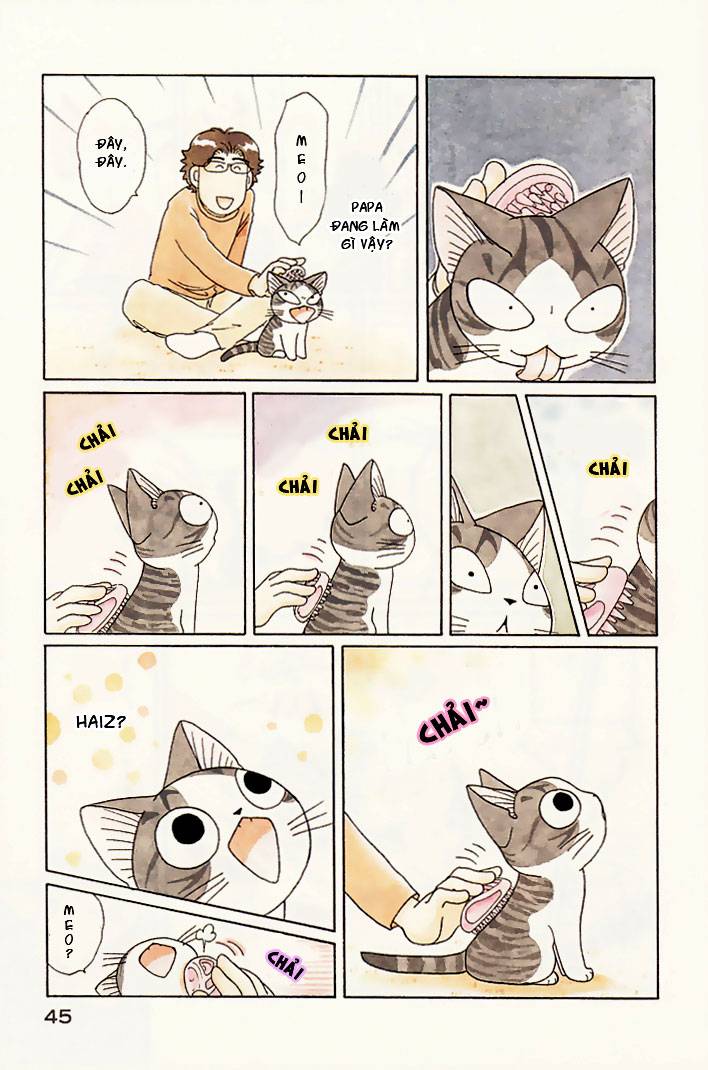 Truyện Tranh Mái Ấm Của Chi - Chii’s Sweet Home trang 3
