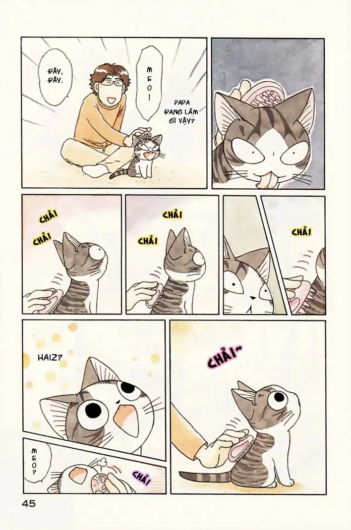 Truyện Tranh Mái Ấm Của Chi - Chii’s Sweet Home trang 3