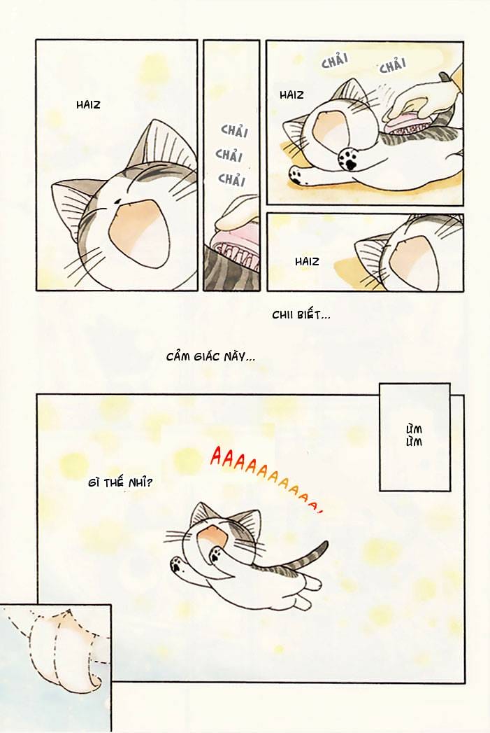 Truyện Tranh Mái Ấm Của Chi - Chii’s Sweet Home trang 3