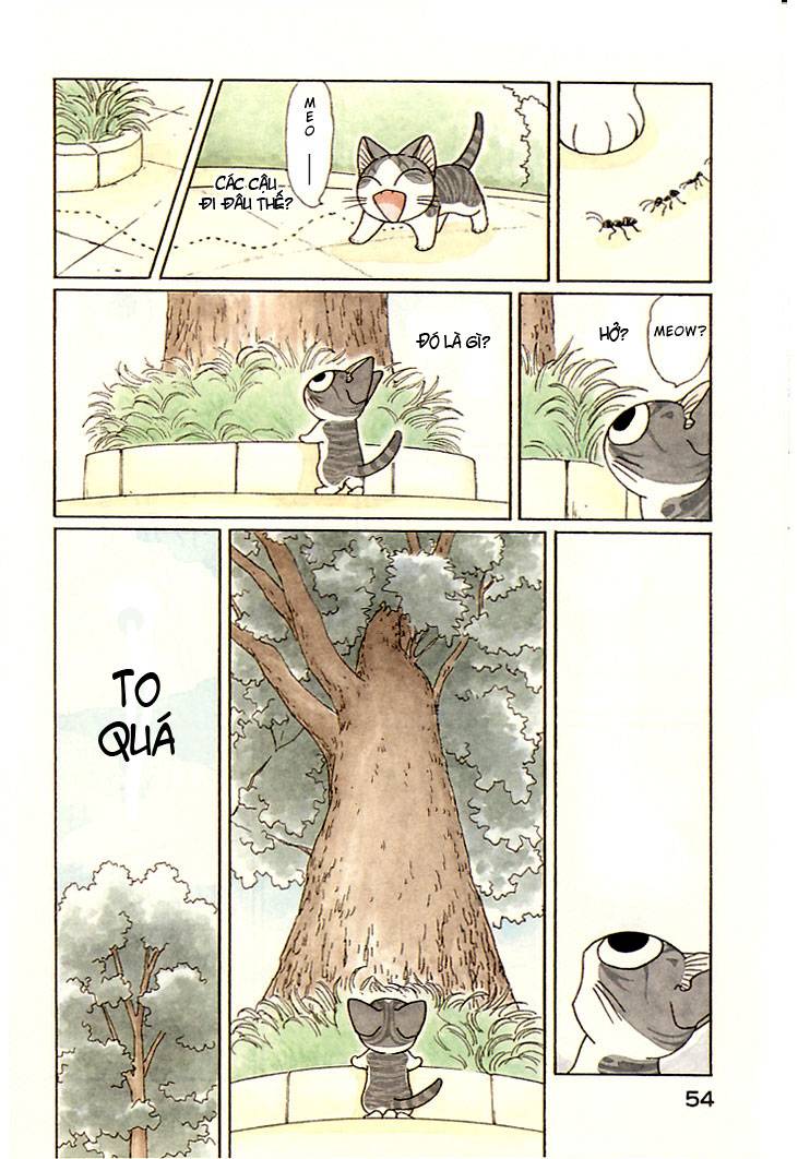 Truyện Tranh Mái Ấm Của Chi - Chii’s Sweet Home trang 3