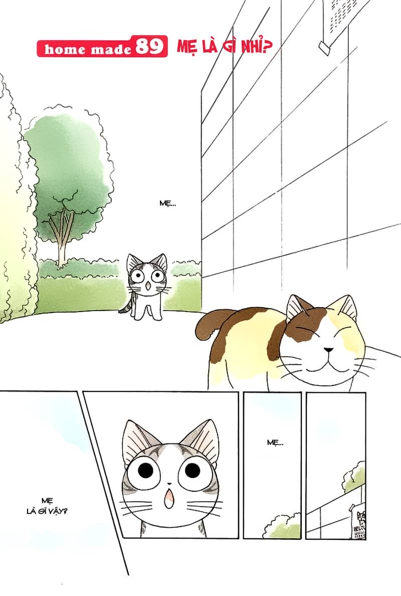Truyện Tranh Mái Ấm Của Chi - Chii’s Sweet Home trang 3