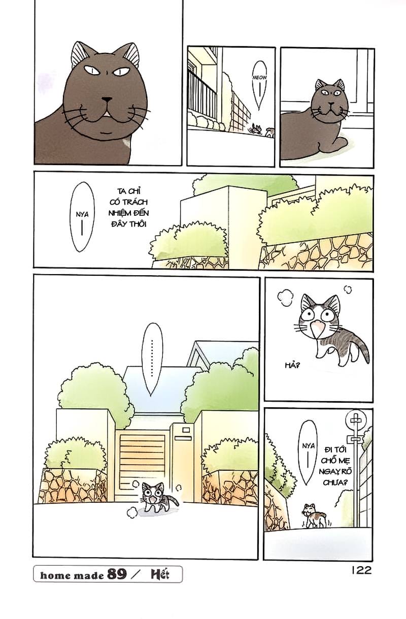 Truyện Tranh Mái Ấm Của Chi - Chii’s Sweet Home trang 3