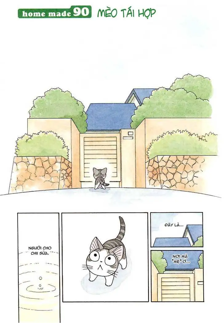 Truyện Tranh Mái Ấm Của Chi - Chii’s Sweet Home trang 3