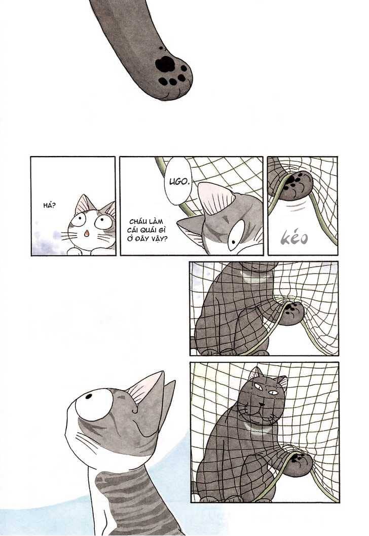 Truyện Tranh Mái Ấm Của Chi - Chii’s Sweet Home trang 3