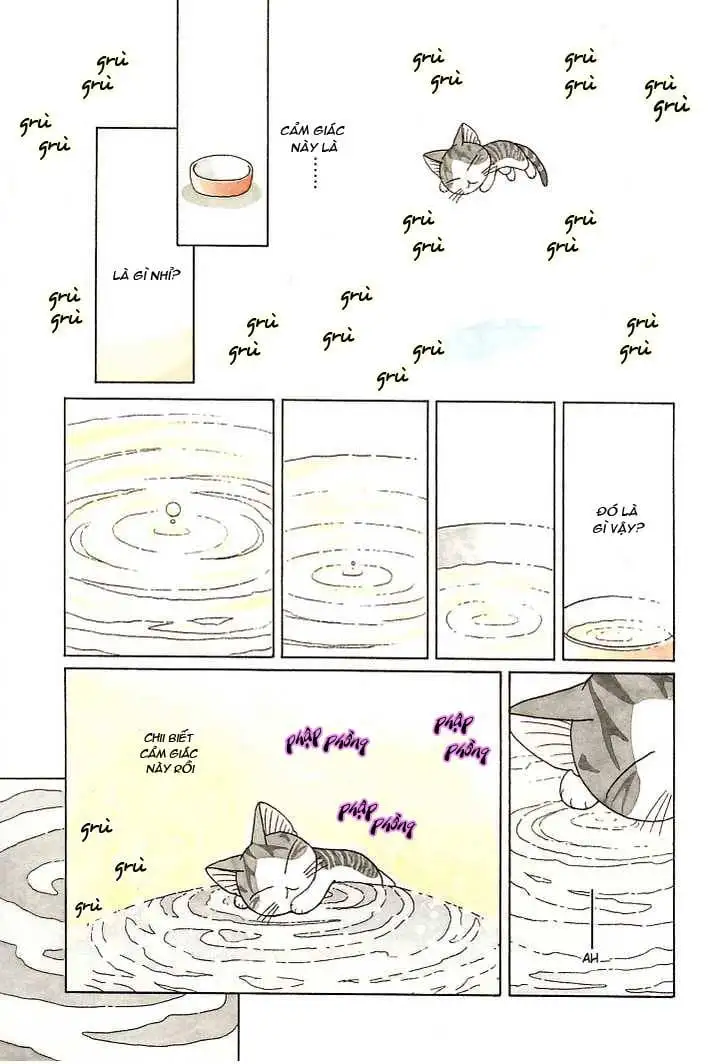 Truyện Tranh Mái Ấm Của Chi - Chii’s Sweet Home trang 3