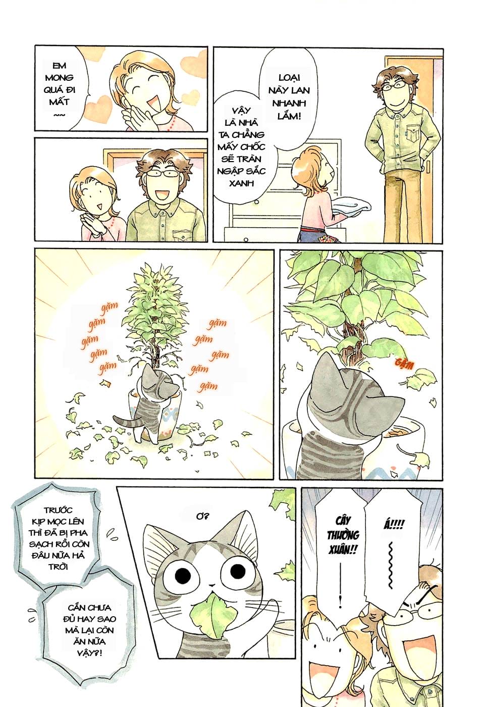 Truyện Tranh Mái Ấm Của Chi - Chii’s Sweet Home trang 3