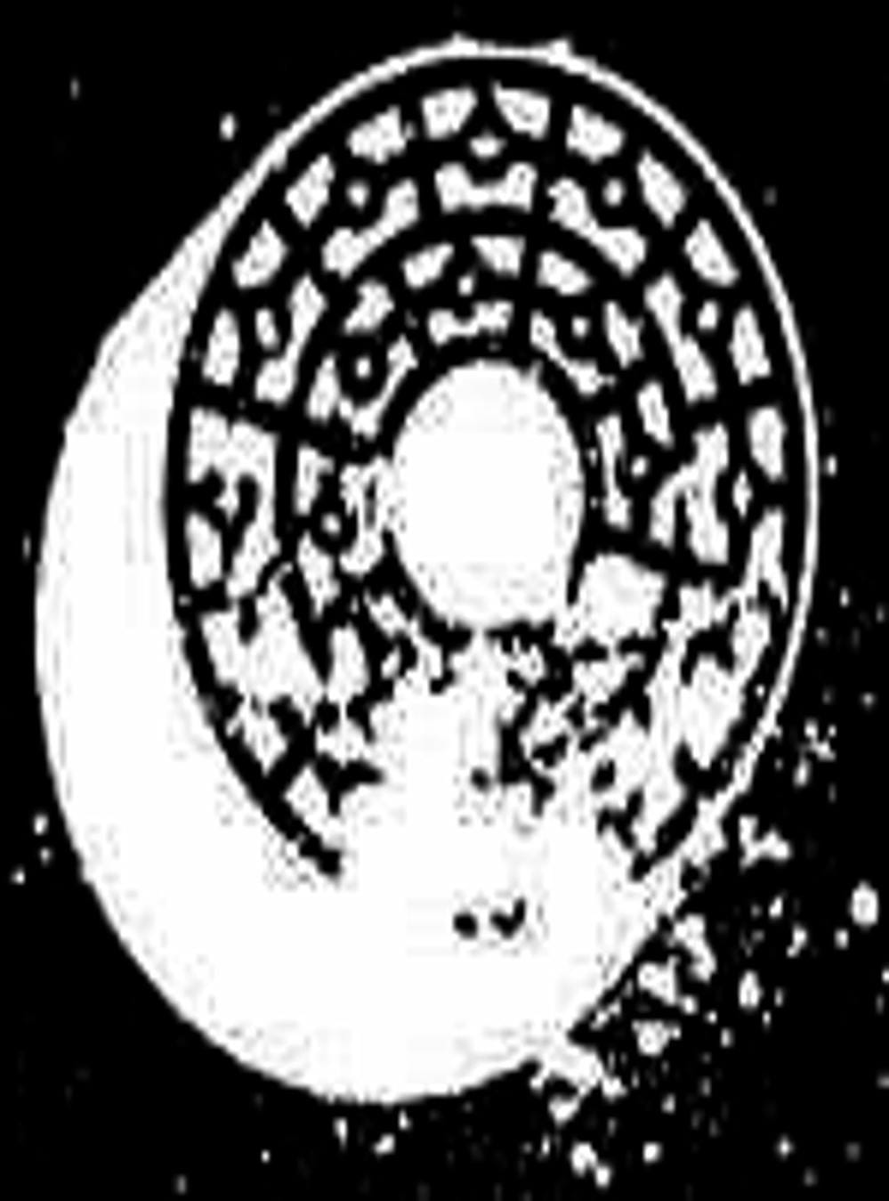 Truyện Tranh Sát Nhân Cống Ngầm - Manhole trang 5