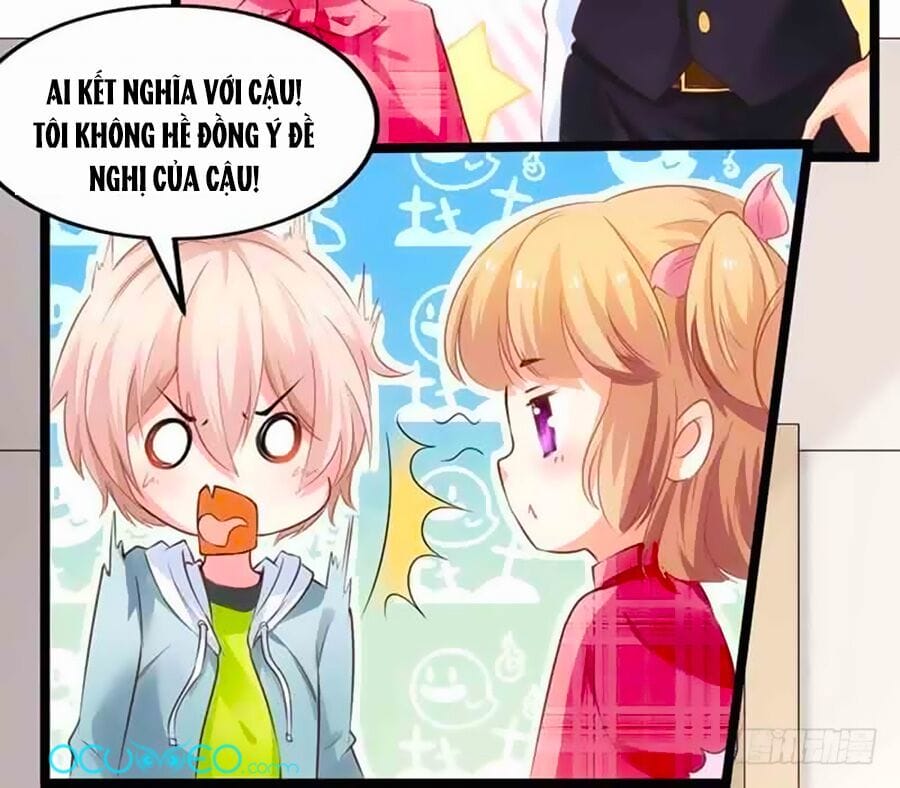 Truyện Tranh Một Thai Hai Bảo: Đưa Mami Về Nhà! trang 4