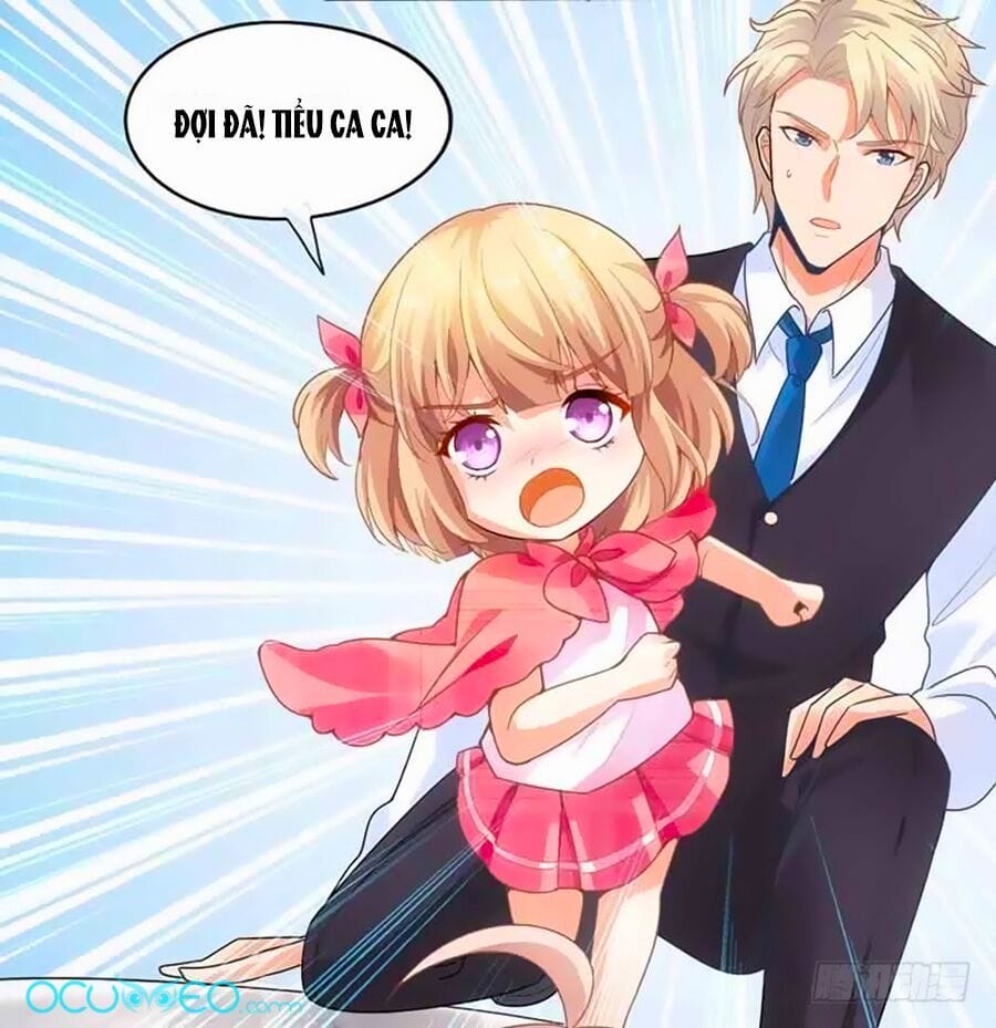 Truyện Tranh Một Thai Hai Bảo: Đưa Mami Về Nhà! trang 4