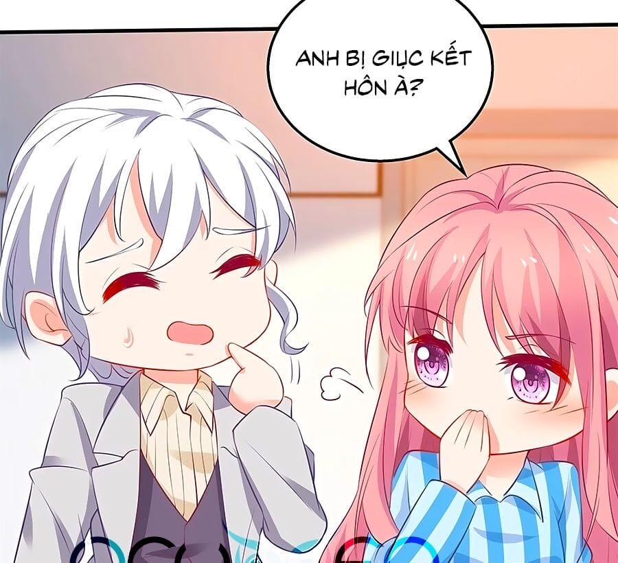 Truyện Tranh Một Thai Hai Bảo: Đưa Mami Về Nhà! trang 4